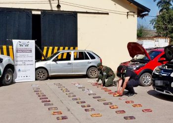 Región: secuestran 50 kilos de drogas