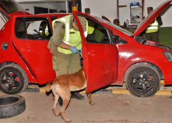 Aguaray: condenan a tres hombres con hasta 6 años y 8 meses de prisión por narcotráfico