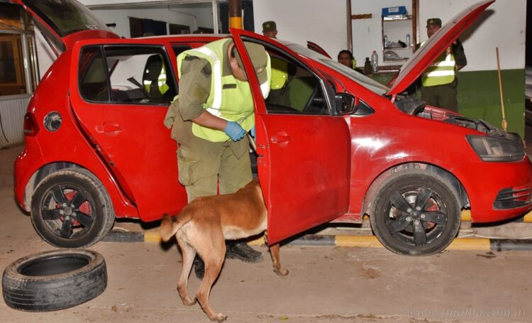 Aguaray: condenan a tres hombres con hasta 6 años y 8 meses de prisión por narcotráfico