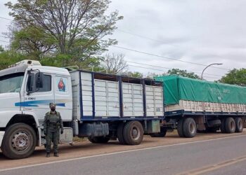 Regionales: detienen e imputan a 9 gendarmes por coimas para facilitar el contrabando de granos