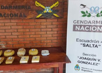 Embarcación: una mujer detenida por contrabando de drogas hacia Chaco