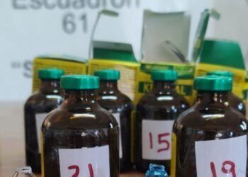 Salvador Mazza: gendarmes interceptaron el ingreso de varios frascos de una droga sanitaria