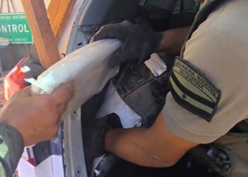 Narcotráfico: prisión preventiva a empleado judicial salteño por transporte de marihuana