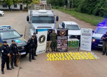 Salta: desbaratan banda que traficaba más de 120 kilos de droga en acoplado de camiones