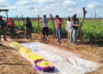 Colonia Santa Rosa: organización narcocriminal acopiaba droga en una finca