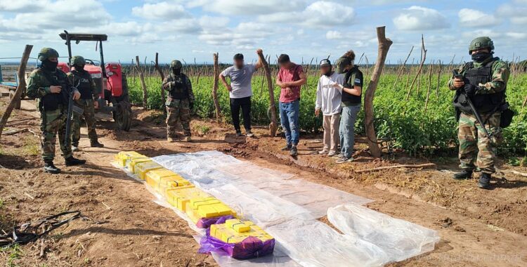Colonia Santa Rosa: organización narcocriminal acopiaba droga en una finca