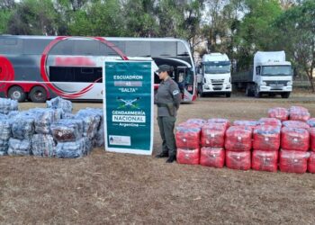 Gendarmería Nacional secuestró mercadería de contrabando y droga en operativos realizados en la provincia