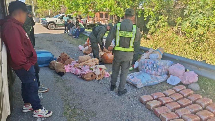 Narcotráfico: detienen en Catamarca a mujer que llevaba capibaras con droga