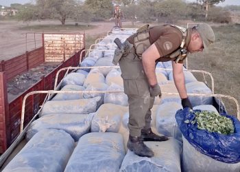 Gendarmería Nacional incauta casi tres toneladas de hojas de coca que había salido de Salvador Mazza