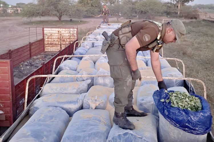 Gendarmería Nacional incauta casi tres toneladas de hojas de coca que había salido de Salvador Mazza