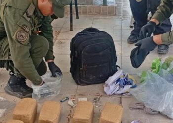 Narcotráfico: tres mujeres y un menor sorprendidos con estupefacientes en operativos de Gendarmería
