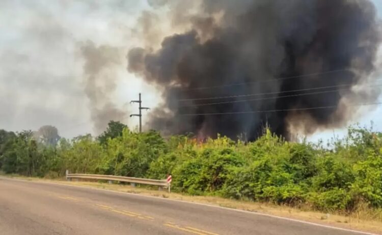 Riesgo en línea de alta tensión por incendios en el tramo Caimancito – Pichanal