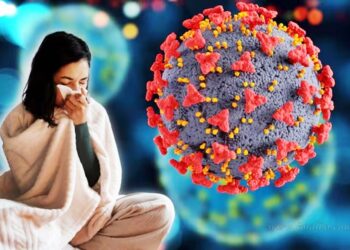 Influenza A H3N2: nuevos casos en el país y alerta en Bolivia