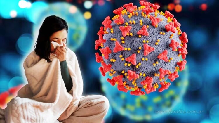 Influenza A H3N2: nuevos casos en el país y alerta en Bolivia