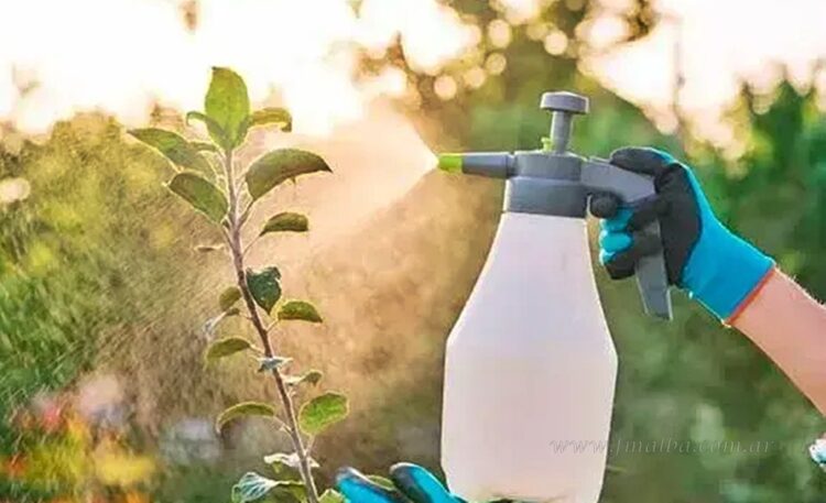 Salvador Mazza: Anmat prohíbe la venta del insecticida líquido de la marca “Asesino X”