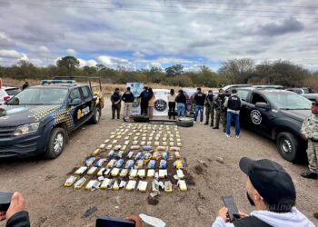 Narcotráfico: secuestraron más de 1,5 millones de dosis de droga