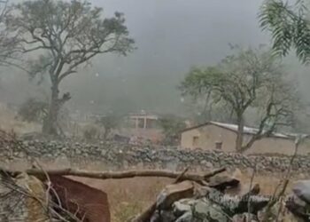 Orán: nevada tiñó de blanco a San Andrés y sorprendió al norte salteño