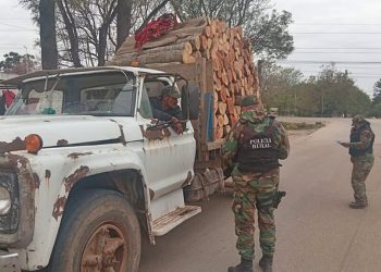 Sin papeles: llevaba 181 despuntes de madera nativa en la Ruta 34