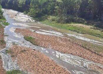 Diputados: piden que Cancillería intervenga por grave contaminación en la frontera con Bolivia