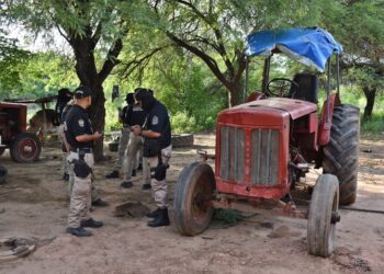 Piden prisión preventiva para los seis detenidos por robo de madera en Tartagal