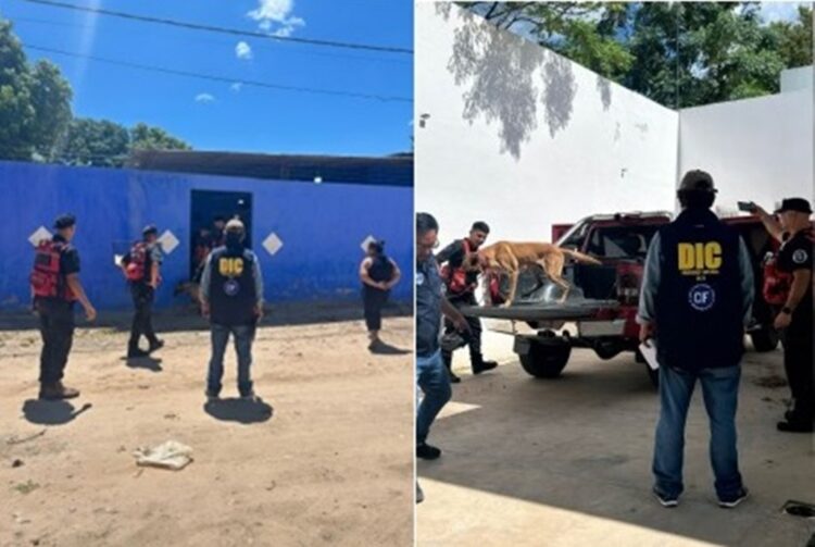 Caso Rosmery Aramayo Torres: canes adiestrados y fuerzas especializadas se suman a la búsqueda