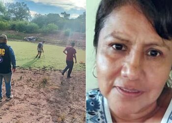 Caso Rosmery Aramayo: pericias genéticas para los restos óseos hallados