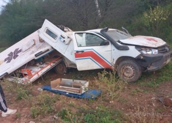 Ruta Provincial Nº 54: una ambulancia impactó contra una vaca suelta