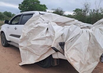 Riesgo alimentario: secuestran carne sin condiciones de salubridad