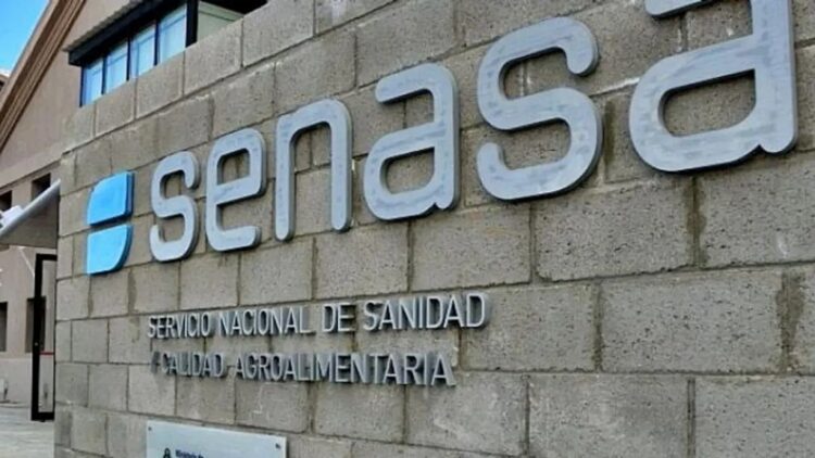 Salta: condena a exfuncionarios del SENASA por maniobras con ganado