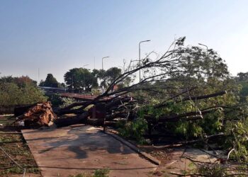 Temporal en el norte: asistencia y operativos tras las intensas lluvias