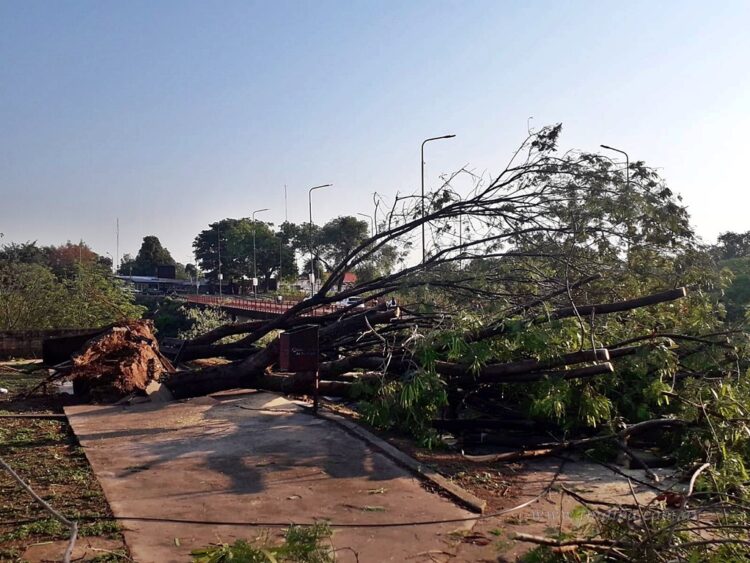 Temporal en el norte: asistencia y operativos tras las intensas lluvias