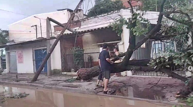Un violento temporal azotó Salvador Mazza
