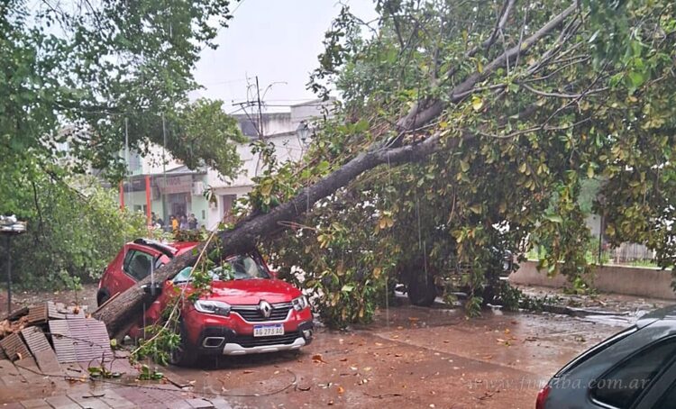 Patrullas continúan trabajando para despejar calles de arboles caidos