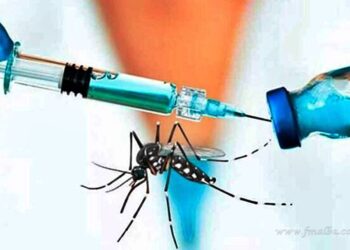 Desde el miércoles estarán disponibles las vacunas contra el dengue en las zonas priorizadas