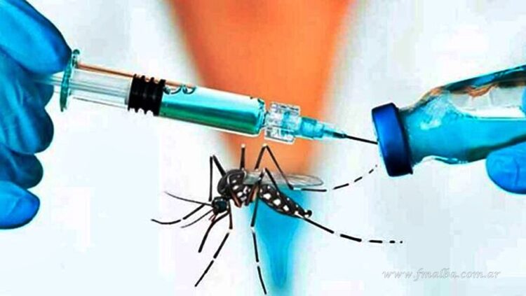 Desde el miércoles estarán disponibles las vacunas contra el dengue en las zonas priorizadas