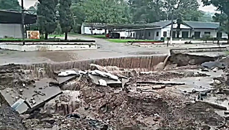 Imagen: captura de pantalla