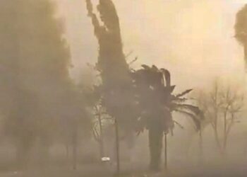 Alerta por viento Zonda: recomendaciones preventivas para toda la provincia