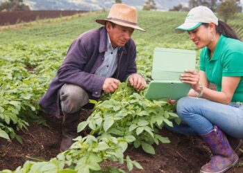 San Martín: diputados radicales con proyectos orientados a la economía futura
