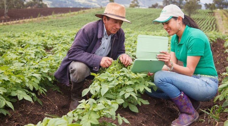 San Martín: diputados radicales con proyectos orientados a la economía futura