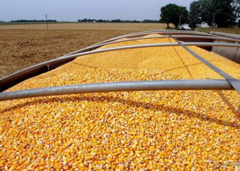 Salta: establecieron el valor referencial de la tarifa del transporte de carga