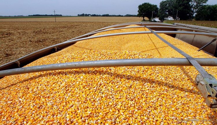 Salta: establecieron el valor referencial de la tarifa del transporte de carga