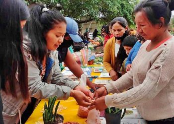 Yariguarenda: 9° Feria Regional de intercambio de semillas