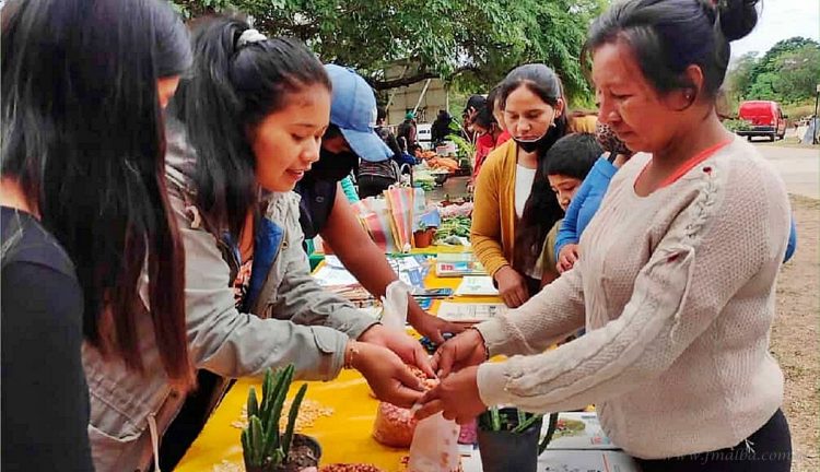Yariguarenda: 9° Feria Regional de intercambio de semillas
