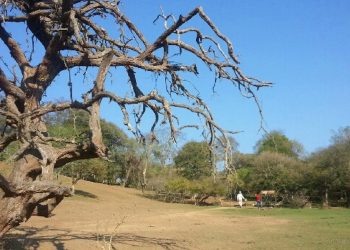 Reserva Acambuco: actualizan presupuesto para concluir la red de senderos