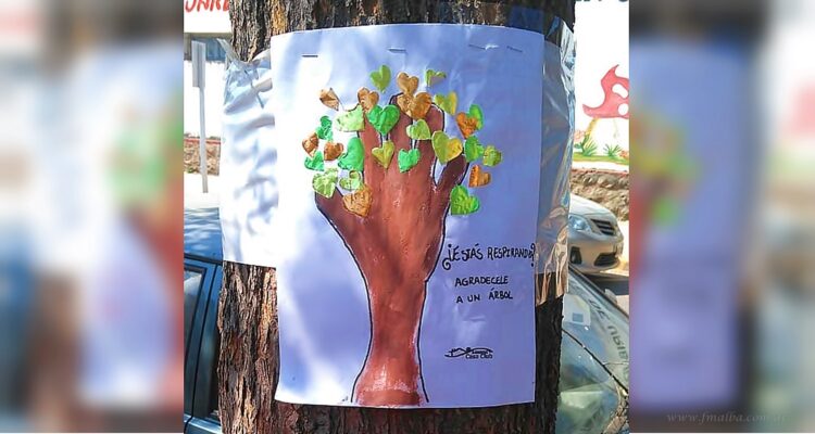 26 de Enero, Día Mundial de la Educación Ambiental