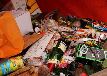 Tartagal: cambios en el horario de recolección de residuos por Fiestas