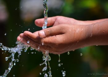 22 de Marzo, Día Mundial del Agua: 83,23% domicilios de San Martín acceden al servicio de red