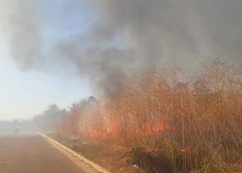 B° Procrear: bomberos de Tartagal y Mosconi extinguieron fuego de gran alcance
