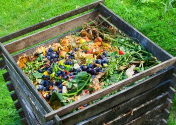 Charlas y capacitaciones en el Mes del Compostaje en Tartagal