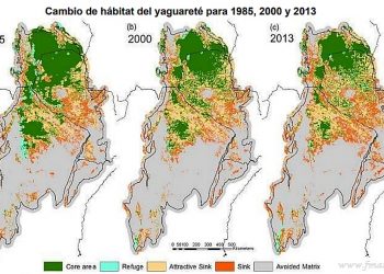 Greenpeace denuncia que la Sociedad Rural presiona al gobierno de Salta por más desmontes